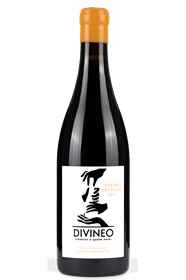 DIVINEO SYRAH SAUVAGE 75CLX6