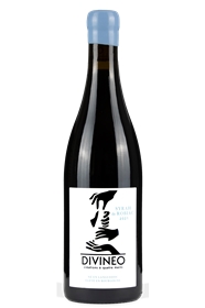 DIVINEO SYRAH DE ROBIAC  75CL X 6